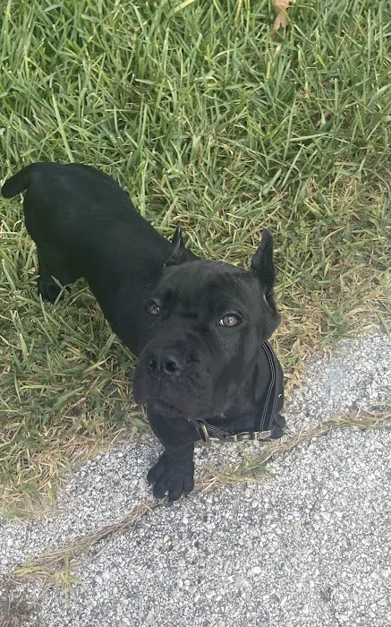 Superior Mobile Home Park Picture 8