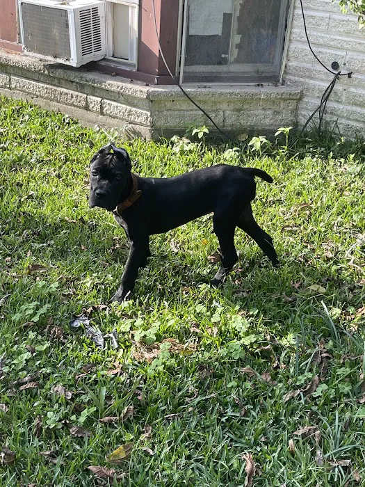 Superior Mobile Home Park Picture 6