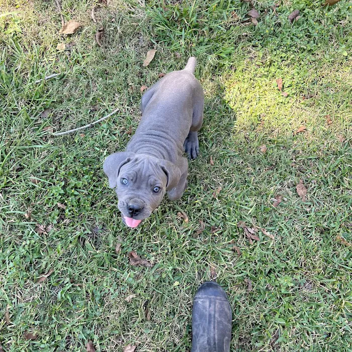 Superior Mobile Home Park Picture 9