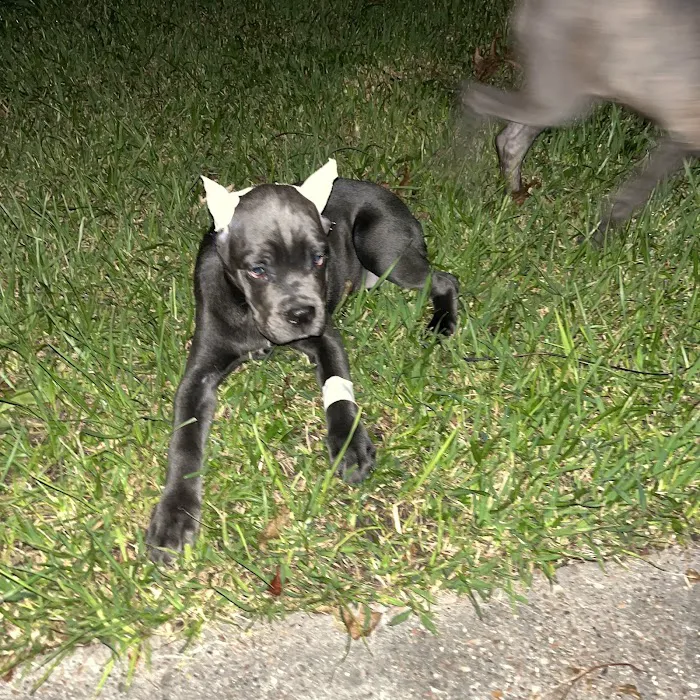 Superior Mobile Home Park Picture 7