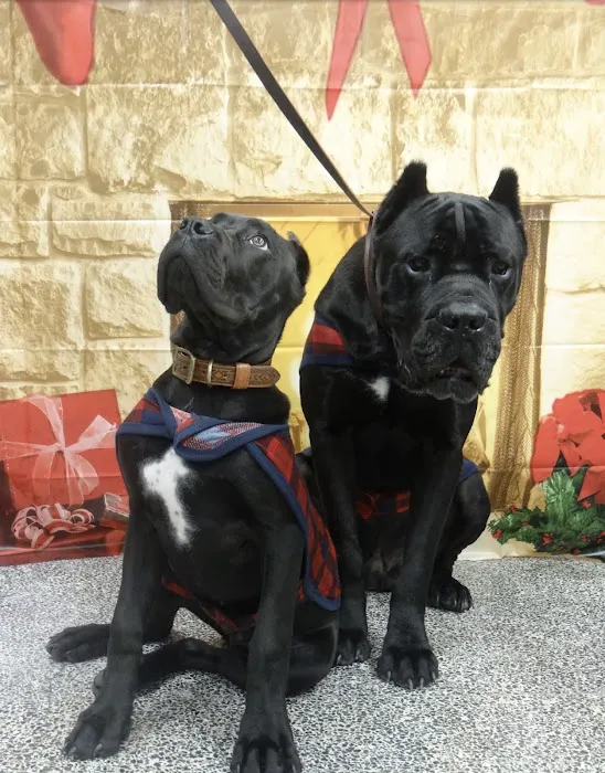 Superior Mobile Home Park Picture 2