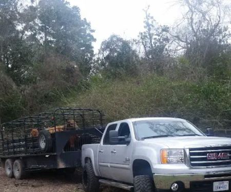 Superior Mobile Home Park