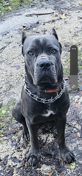 Superior Mobile Home Park Picture 3