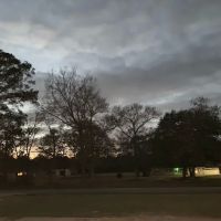 Mobile Park ico