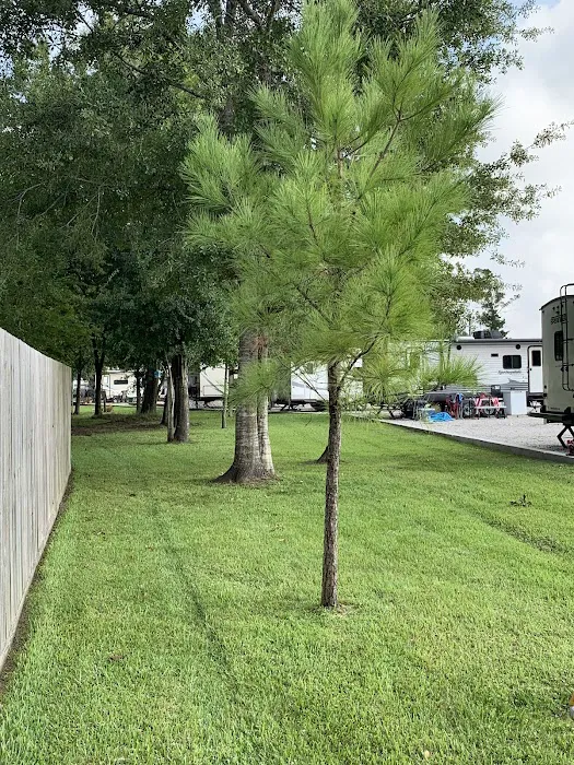 Goose Creek RV Park Picture 2