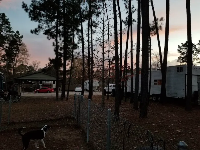 Piney Ridge RV Park Picture 8