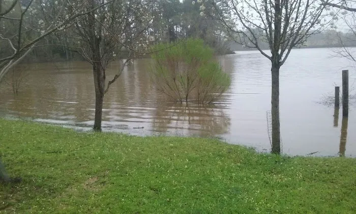 Big Steve's RV Park Picture 8