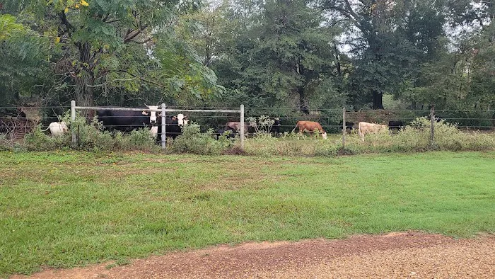 Frankston RV Resort Picture 4