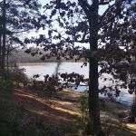 Pine Crest Trailer Park