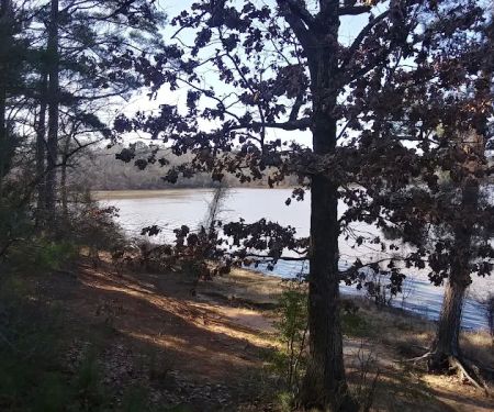 Pine Crest Trailer Park