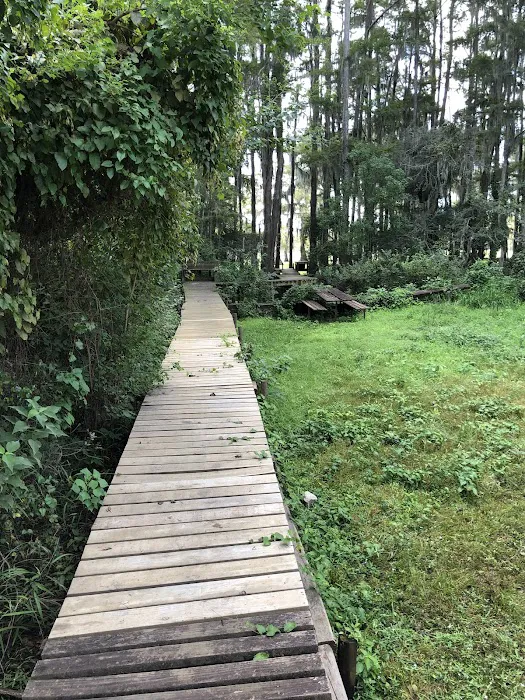 Caddo Lake Escape & RV Park Picture 2