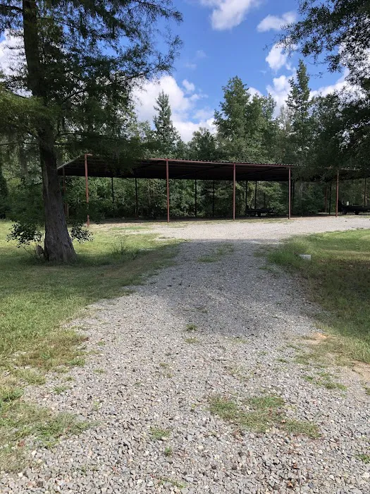 Caddo Lake Escape & RV Park Picture 1