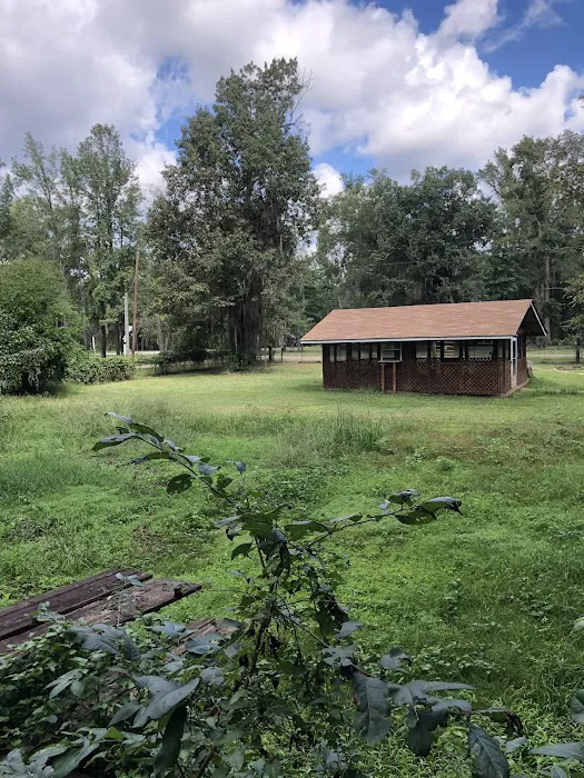 Caddo Lake Escape & RV Park Picture 4
