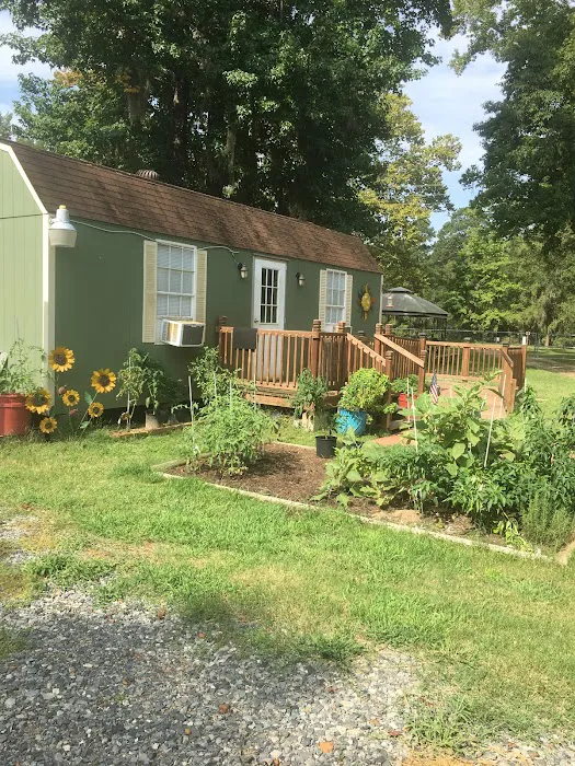 Pine Island RV Park Picture 3