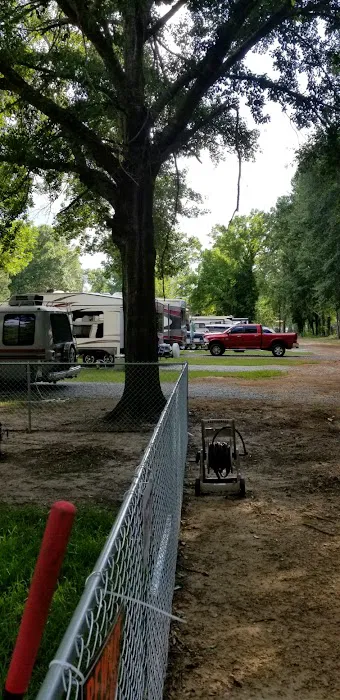 Pine Island RV Park Picture 8