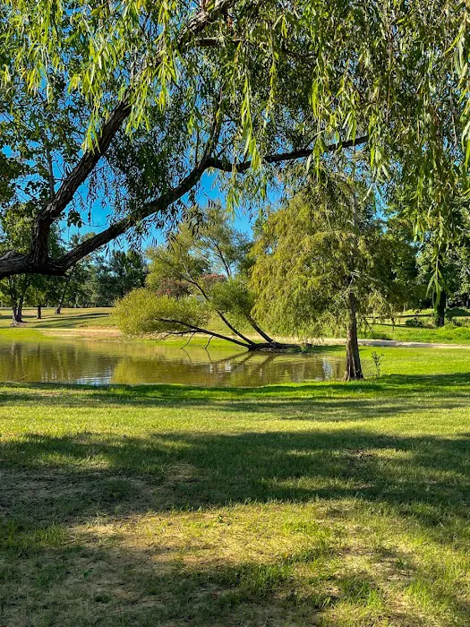 Island View Picture 3