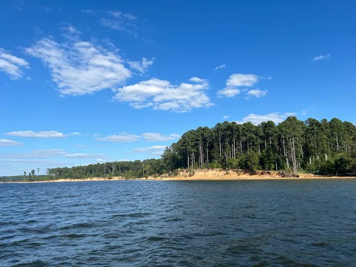 Island View Picture 7