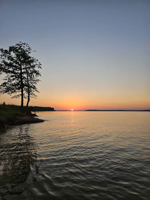 Island View Picture 9