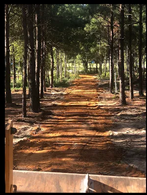 Pine Springs RV Park Picture 3