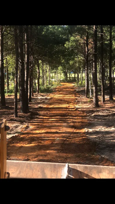 Pine Springs RV Park Picture 10
