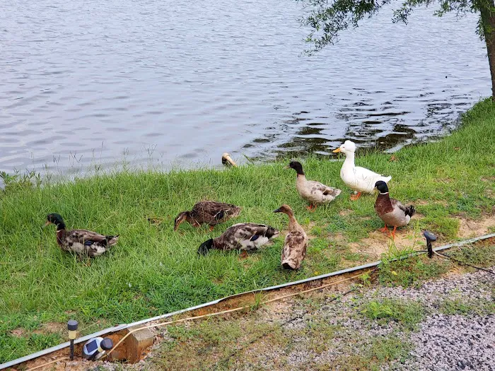 Hidden Lake RV Park Picture 9