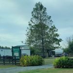Midway RV Park- Hwy 80