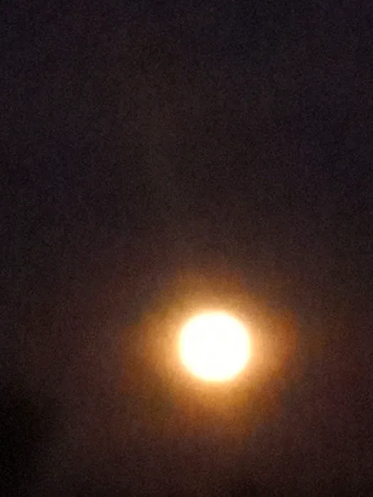 Midway RV Park- Hwy 80 Picture 4