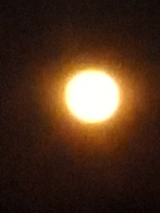 Midway RV Park- Hwy 80 Picture 5