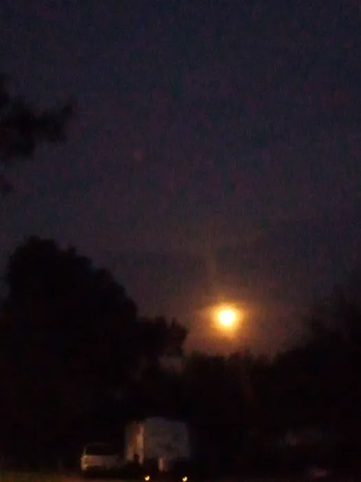 Midway RV Park- Hwy 80 Picture 8