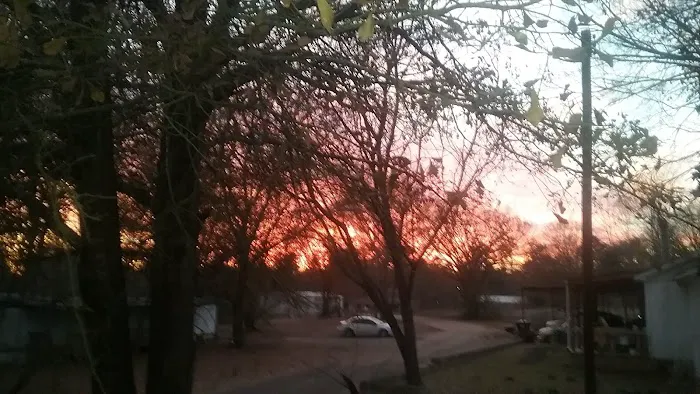 Spring Hill Trailer Park Picture 4