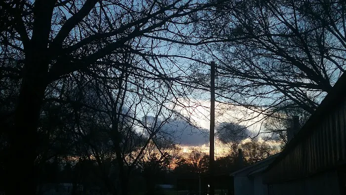 Spring Hill Trailer Park Picture 5