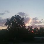 Spring Hill Trailer Park