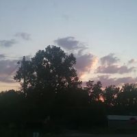 Spring Hill Trailer Park ico