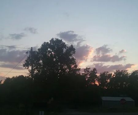 Spring Hill Trailer Park