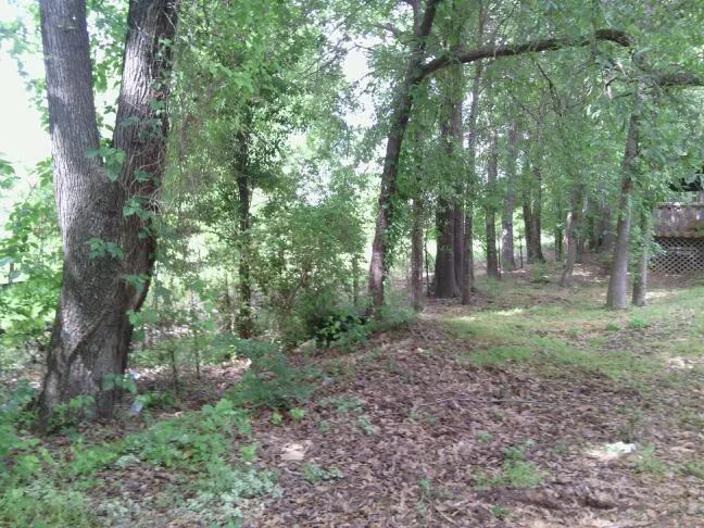 Spring Hill Trailer Park Picture 8