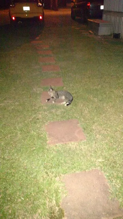 Green Leaf Mobile Home Park Picture 2