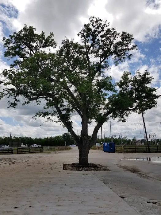 AAA RV Park Picture 10