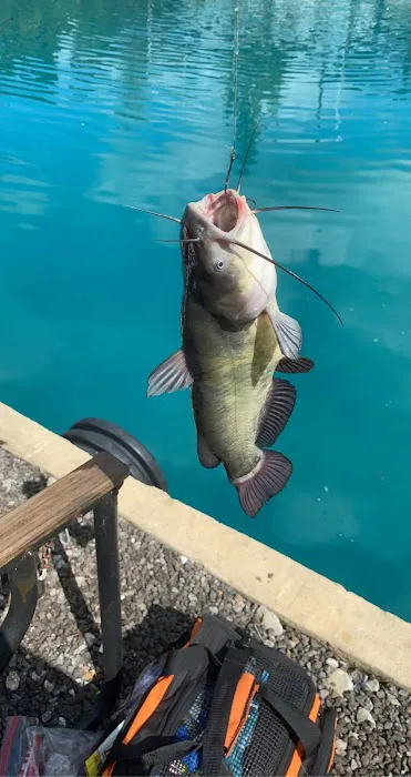 Camp Jason RV Resort Picture 7