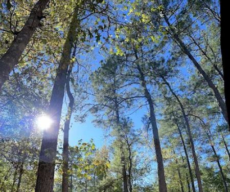 Made in the Shade RV Park