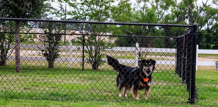 East Fork RV Resort Picture 8