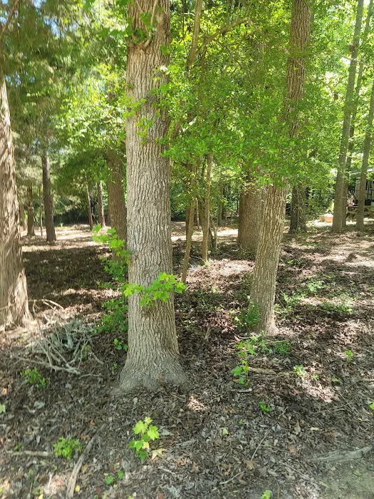 Palestine RV park Picture 8