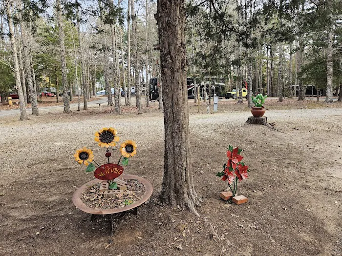 Palestine RV park Picture 5