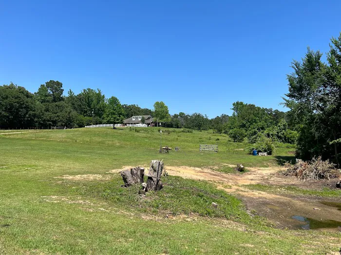 Highway 155 RV Park Picture 4