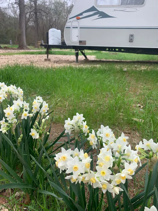 Songbird RV Park Picture 9