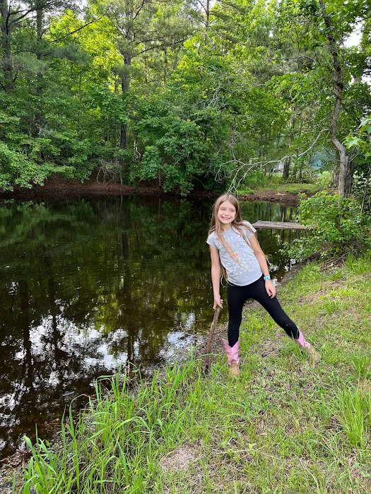 Songbird RV Park Picture 8