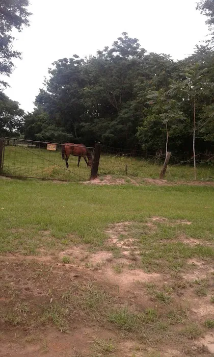 Palestine Mobile Home Park Picture 4