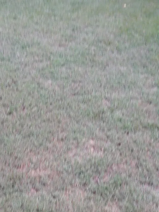 Palestine Mobile Home Park Picture 9