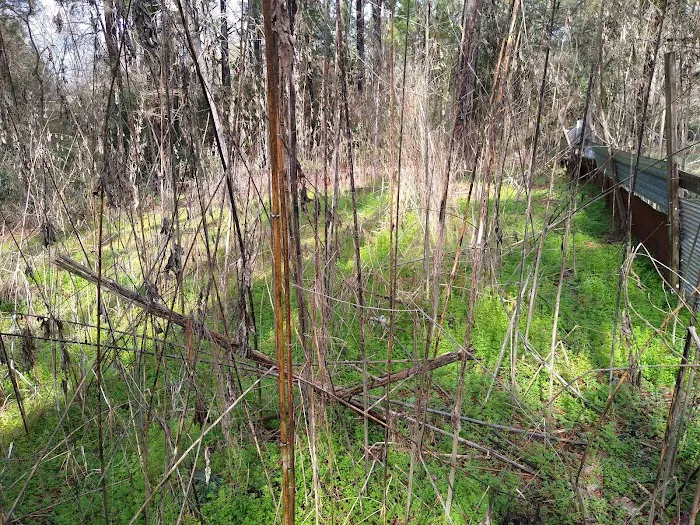 Sleepy Hollow Mobile Home Park Picture 2