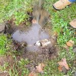 Sleepy Hollow Mobile Home Park