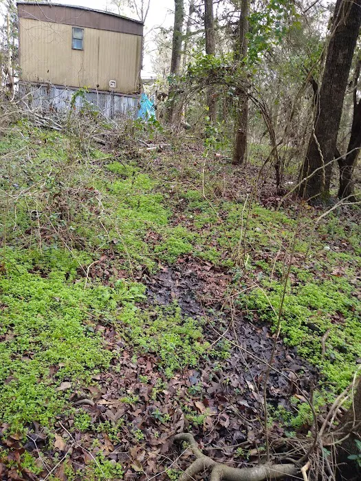 Sleepy Hollow Mobile Home Park Picture 3